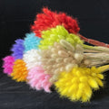 AYOYO Rustic Minimalist Home Decoration Dried Flowers and Plants Bunny Tail Grass Dry Flower Bouquet