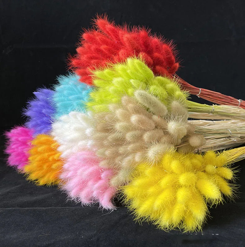 AYOYO Rustic Minimalist Home Decoration Dried Flowers and Plants Bunny Tail Grass Dry Flower Bouquet