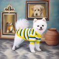 Autumn Spring Pet Clothing Luxury Custom Pet Dog Hoodie Clothes Pet Sweatshirt
