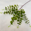 5-fork 3d Printed Gold Leaf for Wedding Decoration Artificial Plants