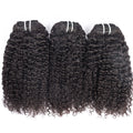 Ready to Ship Kinky Curly Clip Ins 100% Human Hair Softness Clip Ins Kinky Curly