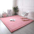 3CM Thick Coral Velvet Bedroom Modern Japanese Tatami Mat Memory Foam Mat Area Carpet