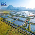 Lobster Liner Hdpe Geomembrane Price Shrimp Geomembrane Waterproofing Pond Liner Fish Farm Hdpe Pond Liner Geomembrane Liners