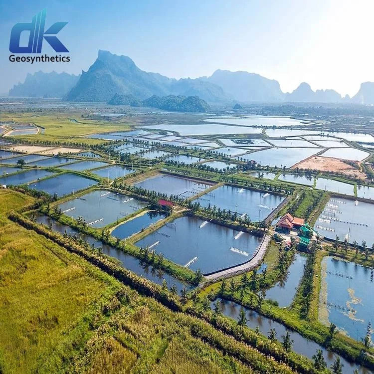 Lobster Liner Hdpe Geomembrane Price Shrimp Geomembrane Waterproofing Pond Liner Fish Farm Hdpe Pond Liner Geomembrane Liners