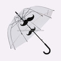 Clear Poe Umbrella Dome clear Umbrella Transparent Umbrella clear