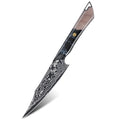Anti-Stick DLC Like Best Knife Blades Black VG10 Damascus Boning Fish Fillet Utility Fruit Paring Knife of Resin Wood Handle