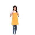 Factory Direct High Quality Full Length Pattern Apron Kitchen Green Barista Aprons Custom Logo Aprons With Pocket