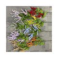 Good Price Mixed Star -Meadow Grass  Artificial Flower Decoration Mariage