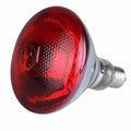 250w Farm Chicken Pig Animal Heat Preservation Lamp Pig Insulation Lamp