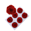 Real Preserved 5-6cm Long Roses for Valentine's Day Long-Lasting Preserved Flowers
