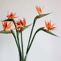 M259 Real Touch Bird of Paradise Flower Stem Silicone Heaven Bird Single Branch Flower Silk Artificial Flower for Home Decor