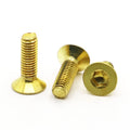 Machine Countersunk Hex Drive Allen Brass Flat Head DIN7991 Non Standard Copper Screws