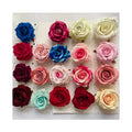 China Supplier Wholesale  Meichen Classic Old Flannelette Rose  Cadburys Roses