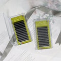GLAMLASH China PBT Premade Volume Fans Lashes Individual Eyelash Extensions Clover Bloom Handmade 5D W Shape 12 Rows Natural