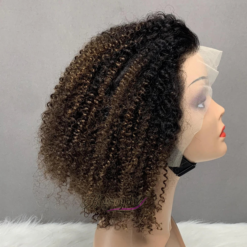 Afro Kinky Curl Human Hair Vietnam Wigs 13*4 Frontal Lace Wigs #T1B/30 Color Wholesale Wigs for Black Girl