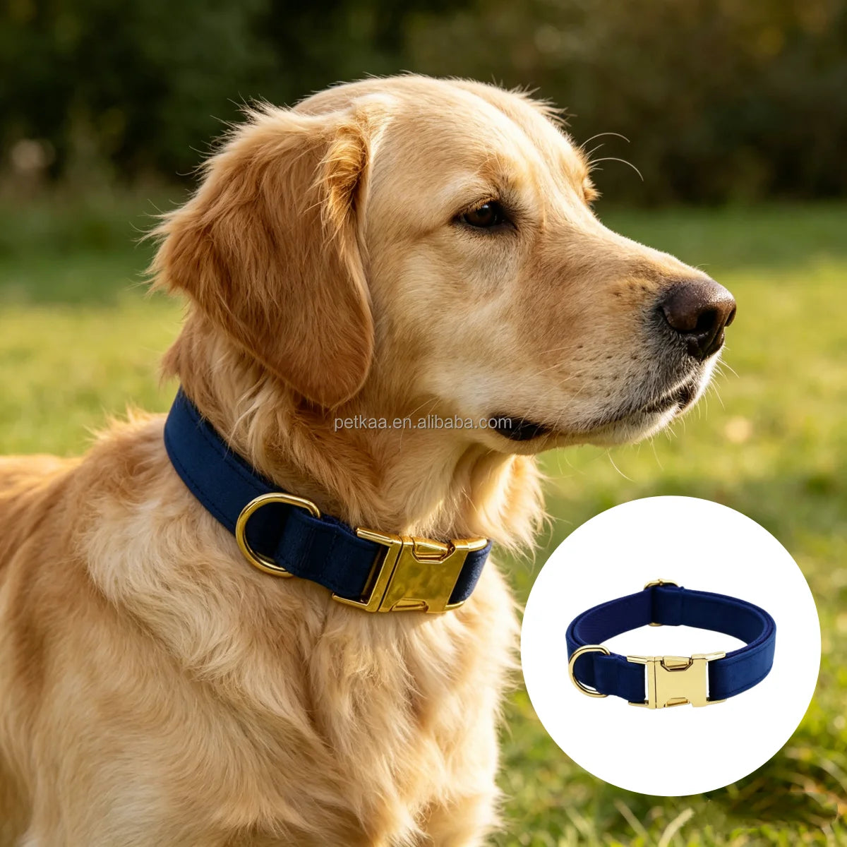 Navy Blue Velvet Luxury Outdoor Padded Dog Set Collar Pet Collar Leash Harness Metal Buckle Customizable Logo Wholesale in Stock MegaBDM