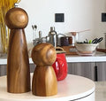 Cute Pepper and Salt Grinder Panda Animal Shape Pepper Beech Wood Ceramic Grinder Core