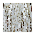 Wholesale Price 38 cm Heart Shell Beads 8/10/12 mm Star Nature Pearl Strand for DIY Jewelry Making Bone & Coral Beads
