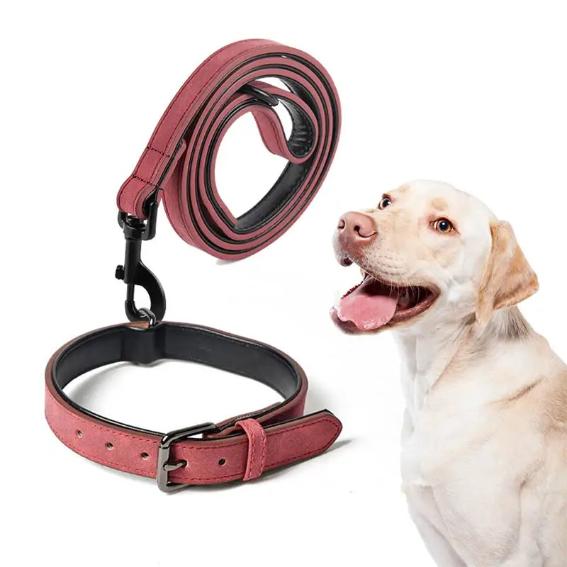 Manufacturer Best Selling Leather Solid Waterproof Microfiber Portable Zinc Alloy Comfortable Pet Collar for Dogs