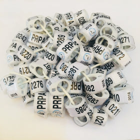 Personalized BELG Pigeon Rings for Sale Belgium Racing Pigeon Ring Bird Ring