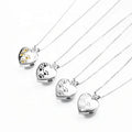 LIVE4U  RS20JPN15  Pet Ash Memorial   316 Stainless Steel   Dog  Paw Silver Pet Cremation Jewelry