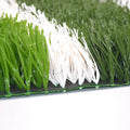 Waterproof PP Artificial Grass Synthetic Turf Carpet for Football Stadium Flooring Available in Rolls Free Sample
