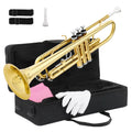 Wholesale Standard Trumpet for Beginners Trumpet for Student with Hard Case 7C Mouthpiece  Brass Instruments for Kids Adults