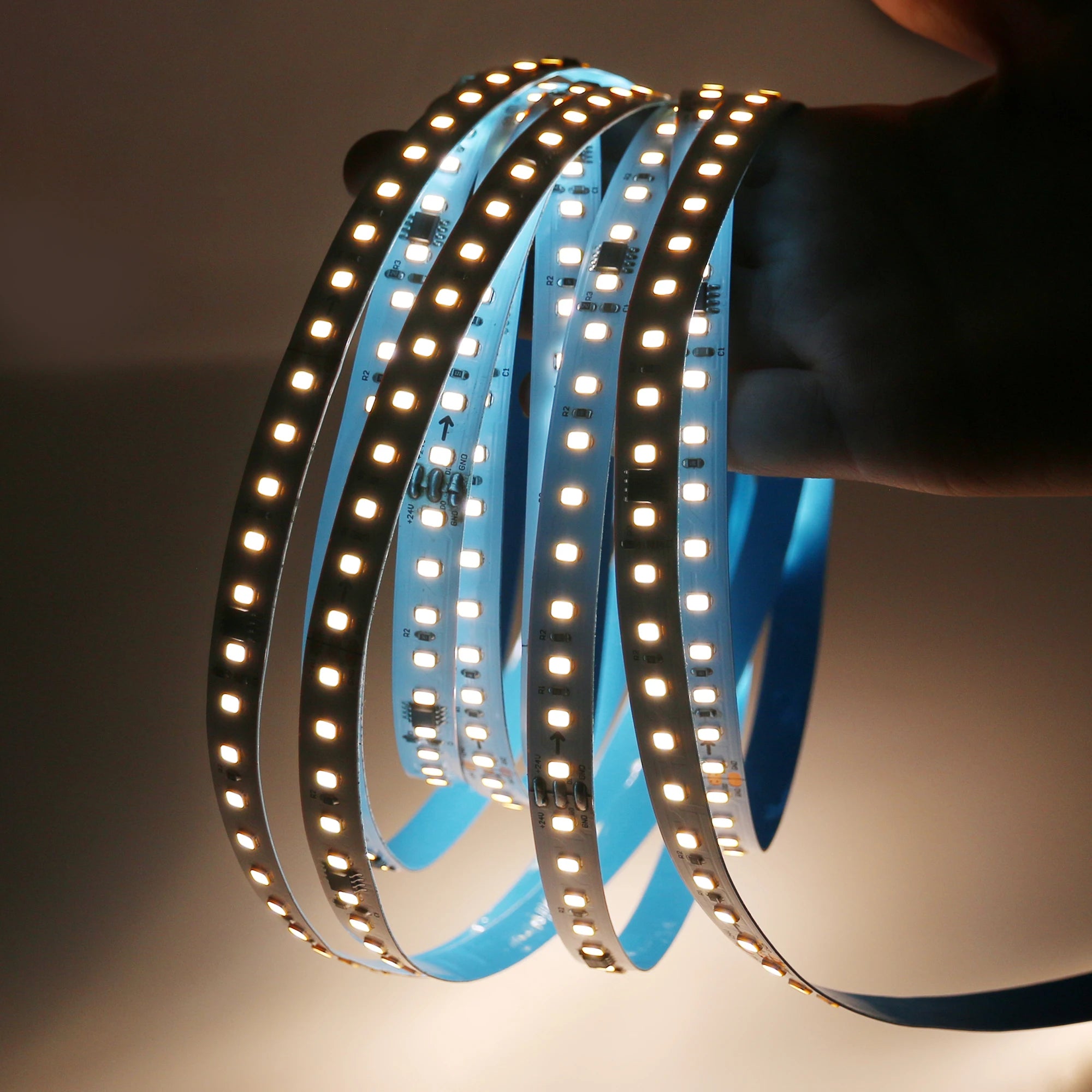 Smart 24v Strip Light 120 Led 2835 Outdoor Waterproof Horse Race Chasing Flexible Led Tape