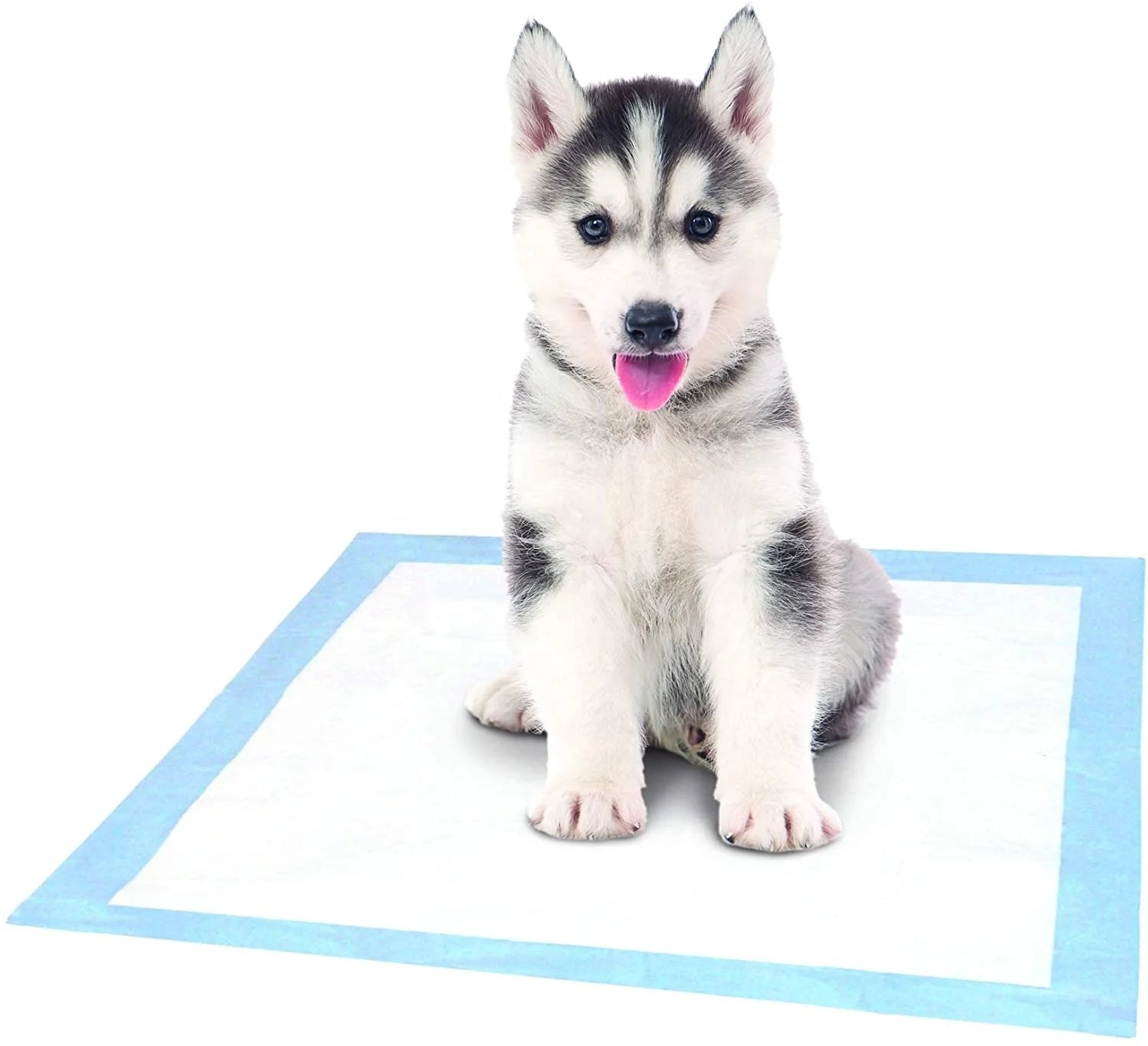 Portable Indoor Cat & Puppy Dog Training Pads Leak-Free Disposable Paper Underpad for Pet Toilet Training