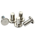 Competitive Price Solid Hollow Metal Titanium Brass Stainless Steel Aluminum Rivet for Cookware