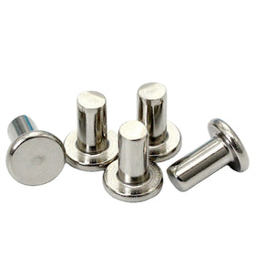 Competitive Price Solid Hollow Metal Titanium Brass Stainless Steel Aluminum Rivet for Cookware