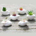 6pcs Cute Shell Shape White Ceramic Mini Flowerpot Tabletop Vase for Luxury Home & Hotel Decoration Modern & Traditional Design