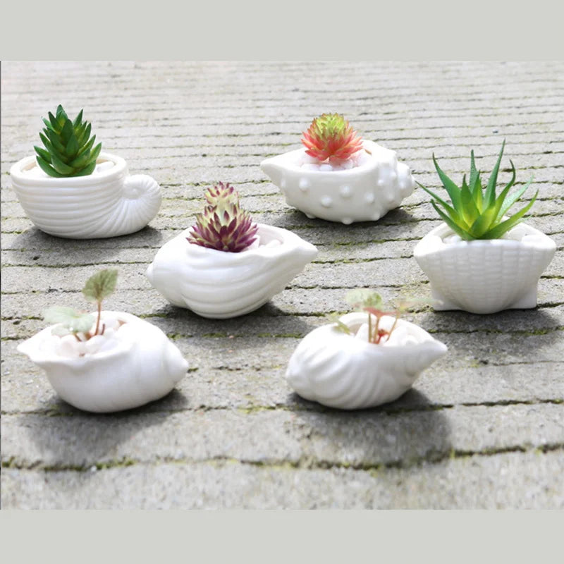 6pcs Cute Shell Shape White Ceramic Mini Flowerpot Tabletop Vase for Luxury Home & Hotel Decoration Modern & Traditional Design