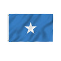 Custom 100% Polyester National Flag of Somalia Pennant Style with Custom Size