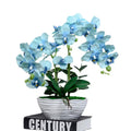 Newest Wholesale Artificial Orchid Bonsai Creative Home Decoration with Silk Flower and Ceramic Vase for Graduation and Easter