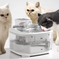 Big Cats Deserve Big Hydration: Discover Our Shared by Multiple Cats Smart Large Cat Water Fountain