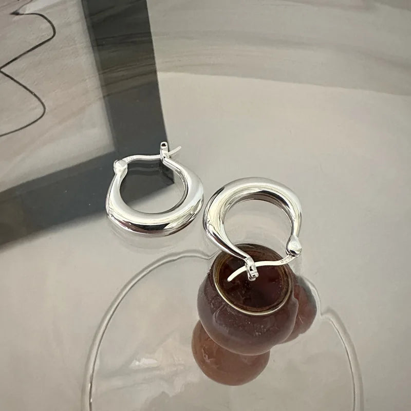 Fine Jewelry Hypoallergenic Trendy Sterling Silver Jewelry Chunky Hoop Earrings
