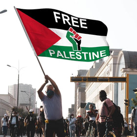 Fast Delivery Free Palestine Flag 5x3ft Custom Country Logo Flags 3x5 ft Polyester Fabric Palestine Flag
