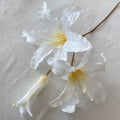 Multicolor-white Modern Style Artificial Flower Wedding Decoration Long Branch Wedding Carton Package Professional Easter Rose