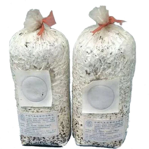 Large Capacity High Temperature Resistant PP Material Transparent Mushroom Filter Bags for Mushroom Growing MegaBDM