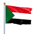 Customized 150*90cm Thickened Durable Polyester Fabric With Copper Buckle Palestine Flag