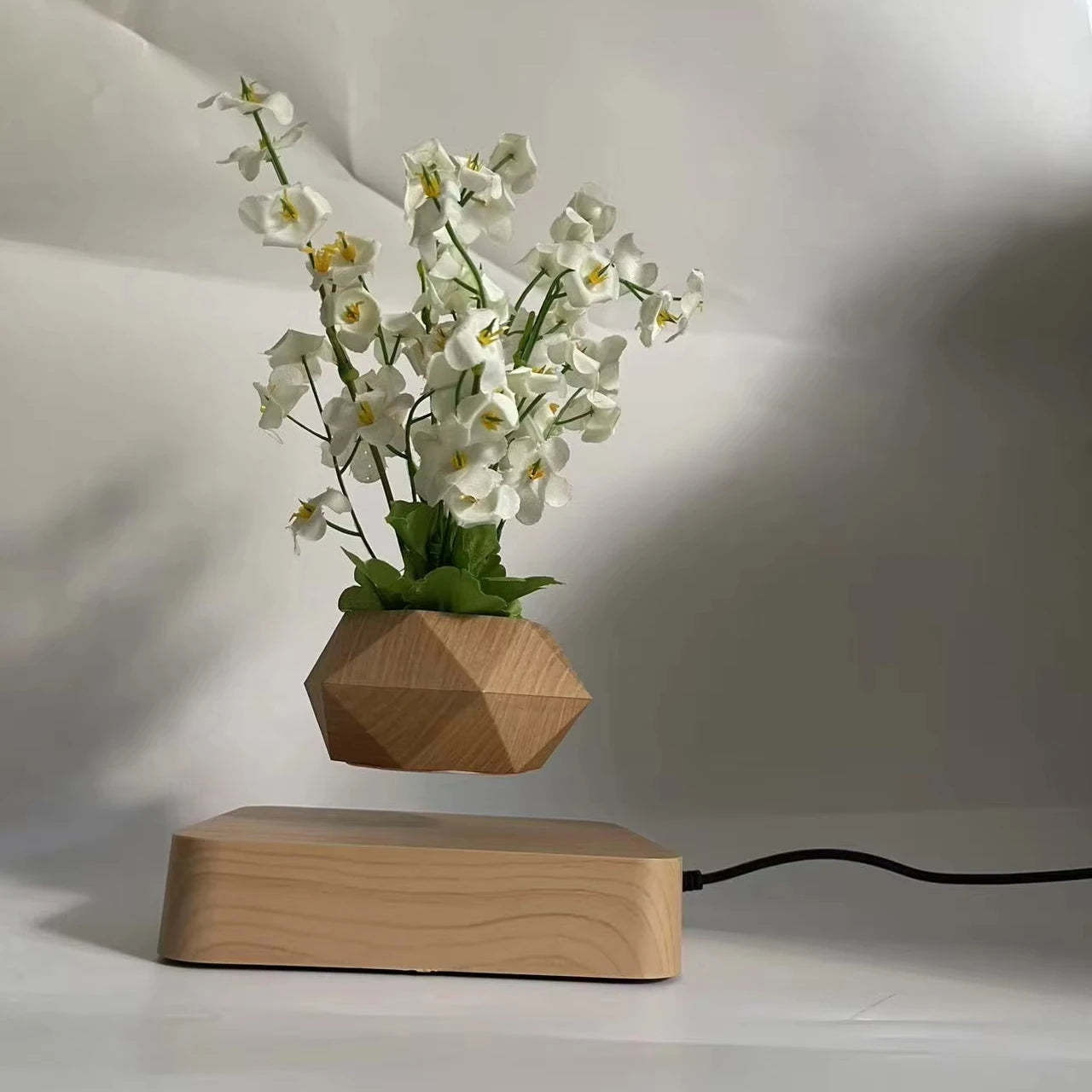 Factory Wholesale Levitating Floating Plant Round Wood Pot Magnetic Levitation air Bonsai Plant