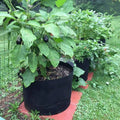 3 5 7 10-Gallon Breathable Fabric Grow Pots Black Round Bags Felt Planter with Carry Handles for Outdoor Nursery