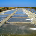 Smooth Surface HDPE Geomembrane Fish Pond Liner Geomembrane Pour Bassin Basin Geomembrane Dampproof Membrane for Foundation