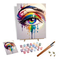 Custom Painting by Numbers Eye Beginners Hand-painted Unique Paint by Number Gifts DIY Paint by Numbers Kit