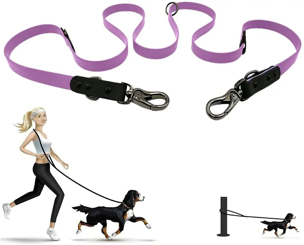 Custom Luxury PVC Nylon Dog Leash Set Durable Indoor Outdoor Training Pattern Solid Rivet for Double Dog Tracking Playing
