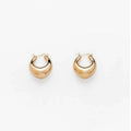 Shescity Trendy INS Style Designer Gold Plated Drop Earrings Stainless Steel Minimalist Jewelry Women Huggie Earrings for Gifts