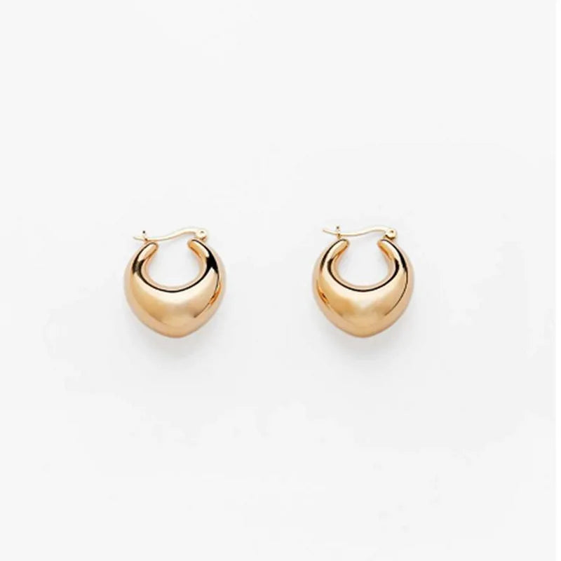 Shescity Trendy INS Style Designer Gold Plated Drop Earrings Stainless Steel Minimalist Jewelry Women Huggie Earrings for Gifts