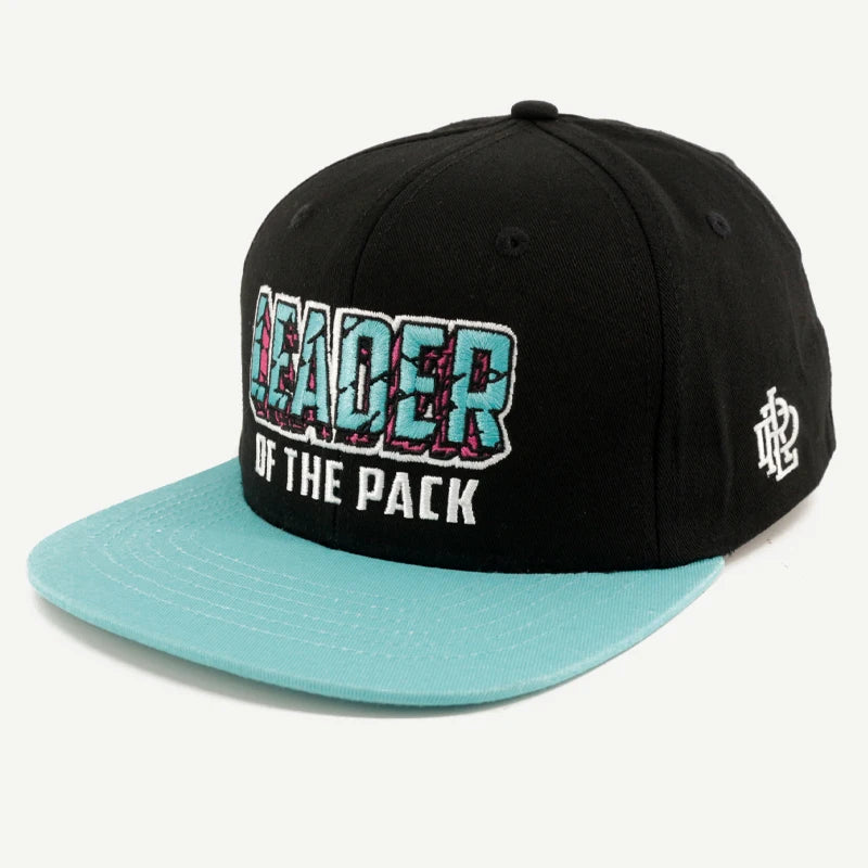 Factory Custom Logo Two Tone Cotton Flat Brim Cap Embroidery Hiphop Snapback Hat