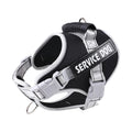 OEM/ODM Fashionable Nylon Pet Accessories Adjustable Large Dog Harness Leash Set Vest Lead Walking Rope with Comfortable Harness